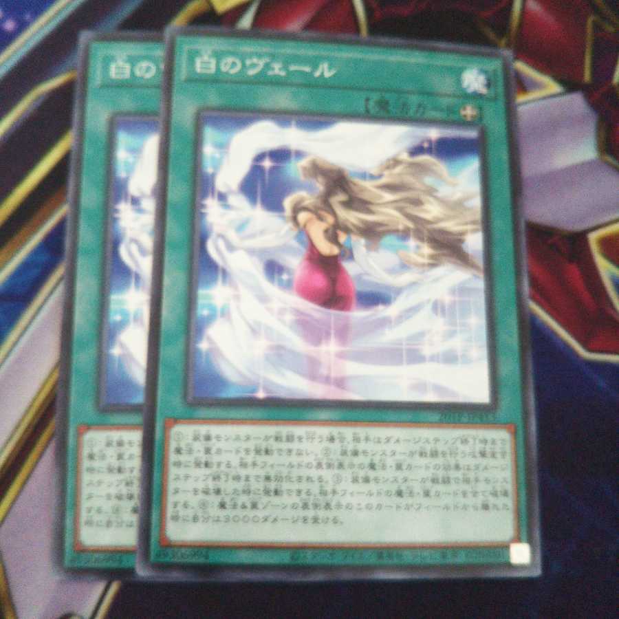 白のヴェール ノーマル 2枚