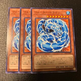 ウォーター・ドラゴン ノーマル