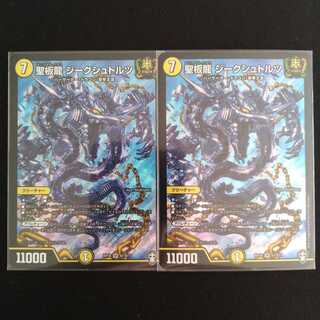 聖板龍 ジークシュトルツ　２枚