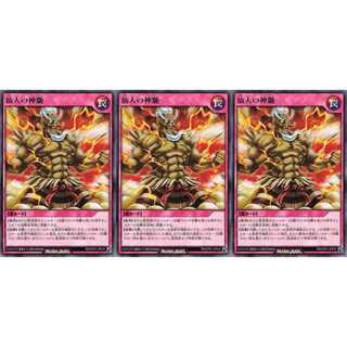 仙人の神髄  レア 3枚セット　ケイトレード