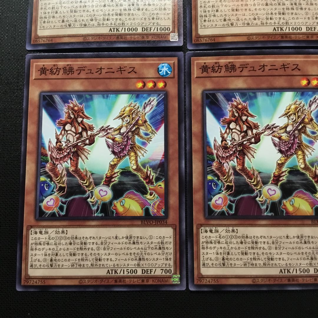 黄紡鮄デュオニギス　貪食魚グリーディス