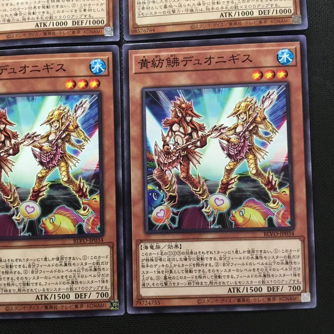 黄紡鮄デュオニギス　貪食魚グリーディス