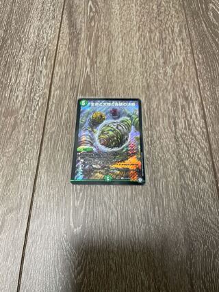 生命と大地と轟破の決断