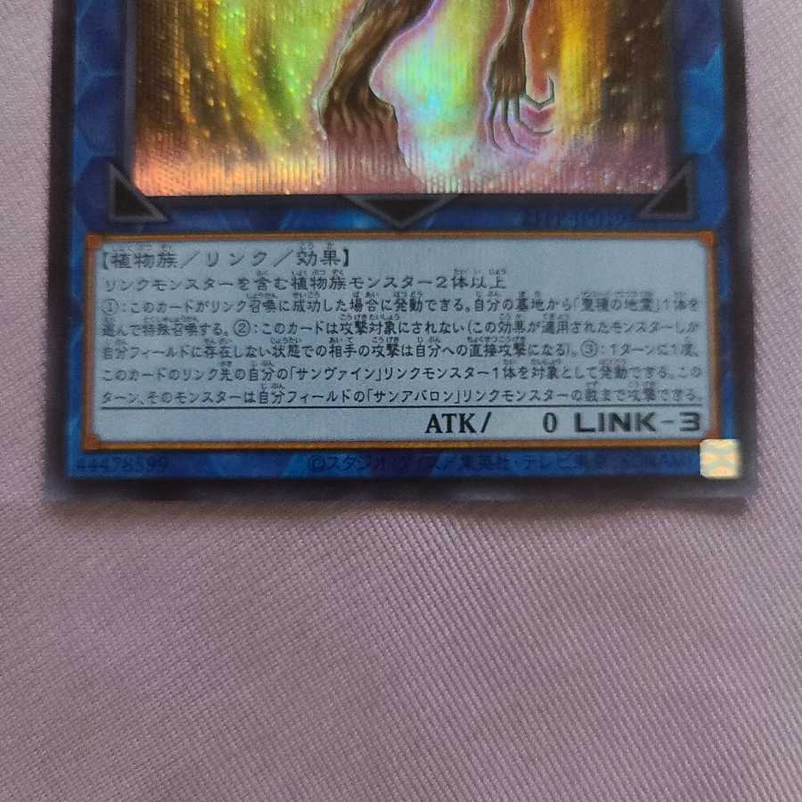 Sunavalon Melias Sikh 1 Sue 2