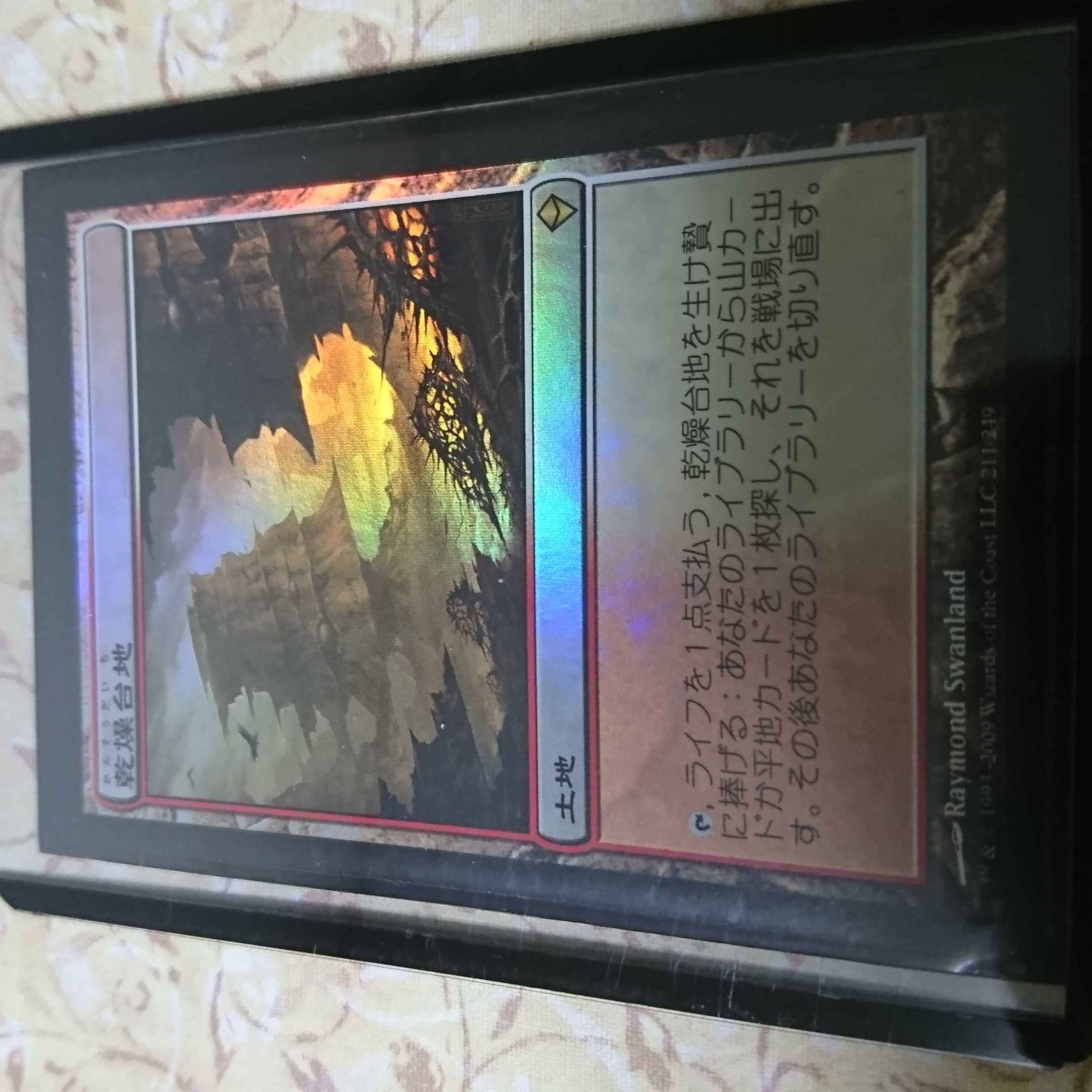 乾燥台地  foil  １枚