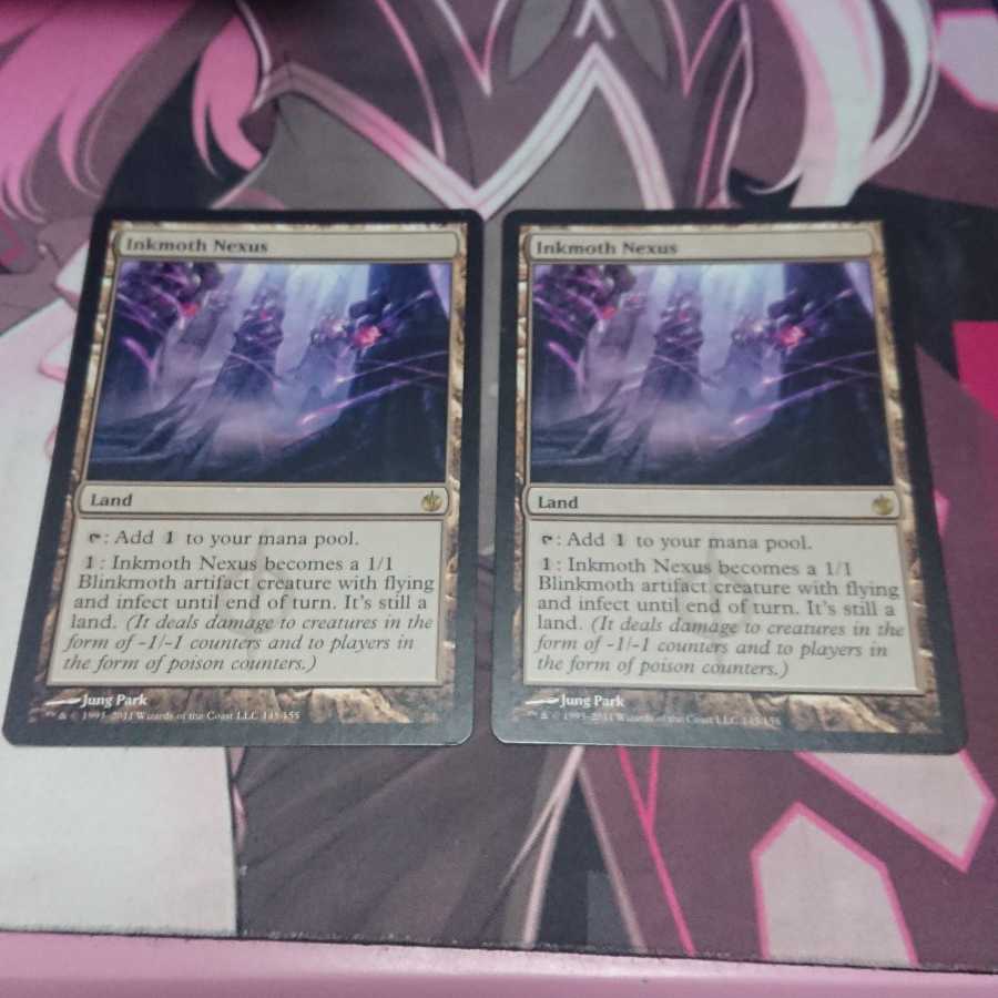 墨蛾の生息地 2枚