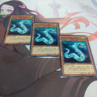 ライト・サーペント ノーマル