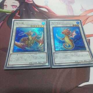 瑚之龍セット　ウルトラレア