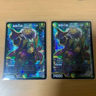 我怒の鎖 パンサーベア SR