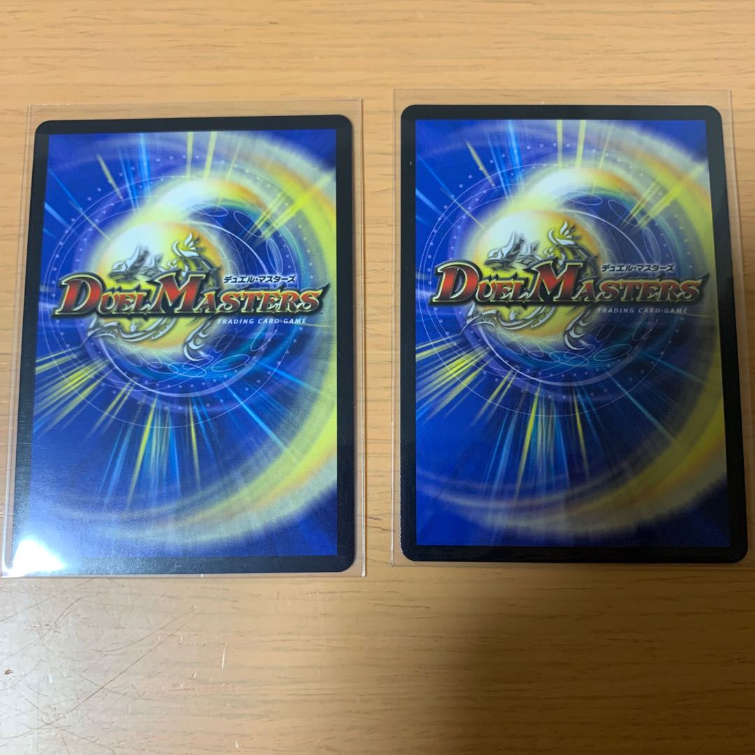 我怒の鎖 パンサーベア SR