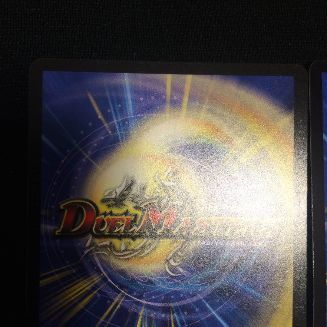 評価100記念特価 蒼龍の大地 プロモ 2枚セット