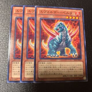 エヴォルダー・ペルタ ノーマル