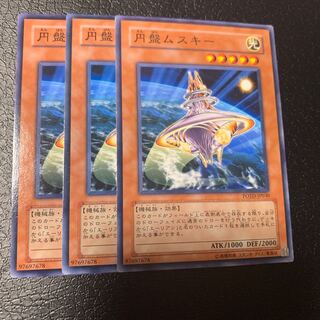 円盤ムスキー ノーマル