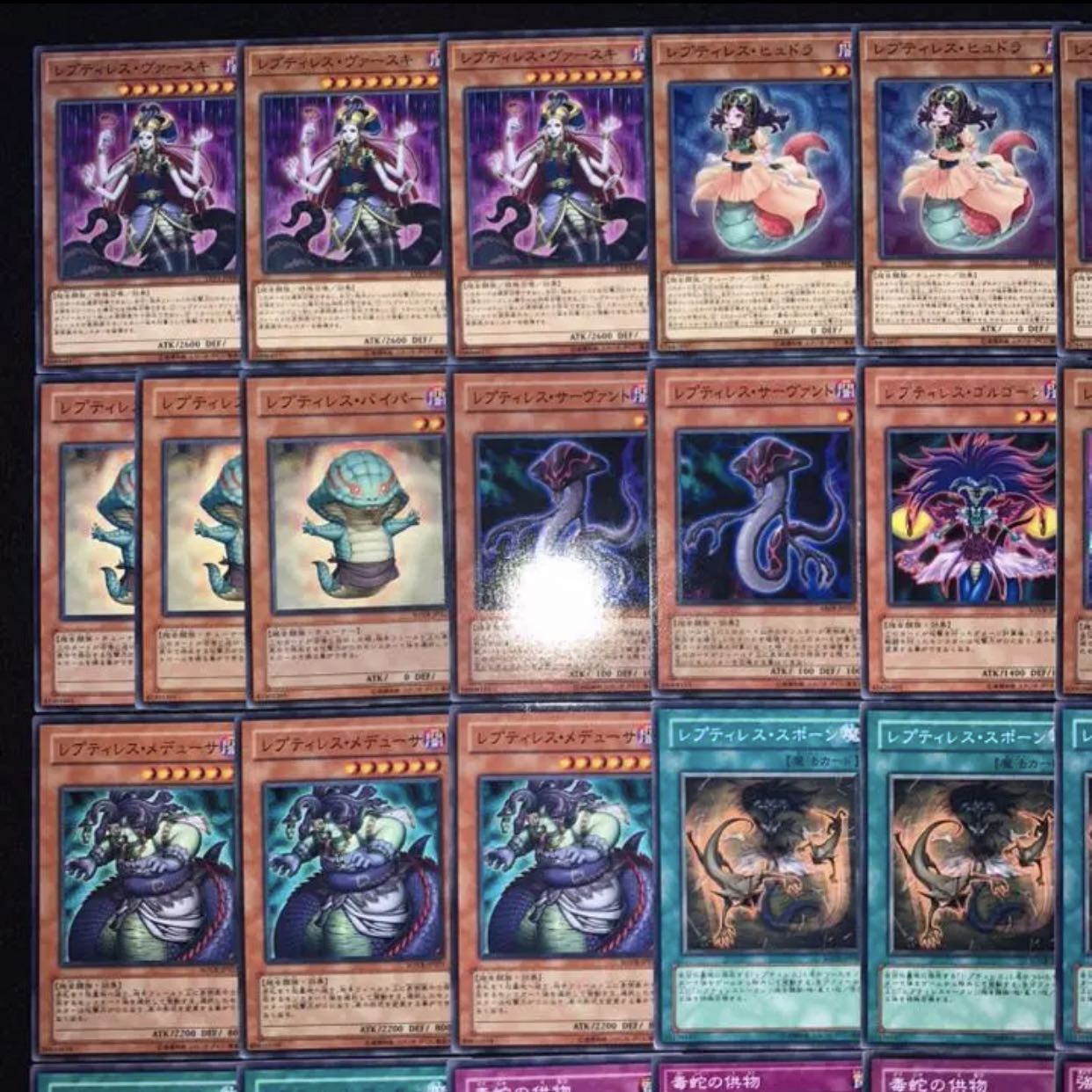 ガチ構築！！レプティレスデッキ40枚+EX15枚B