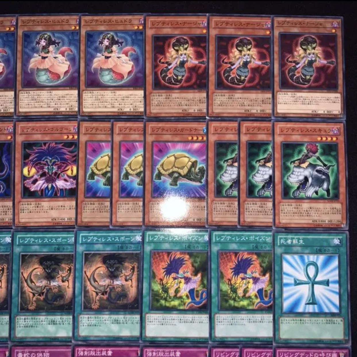 ガチ構築！！レプティレスデッキ40枚+EX15枚B