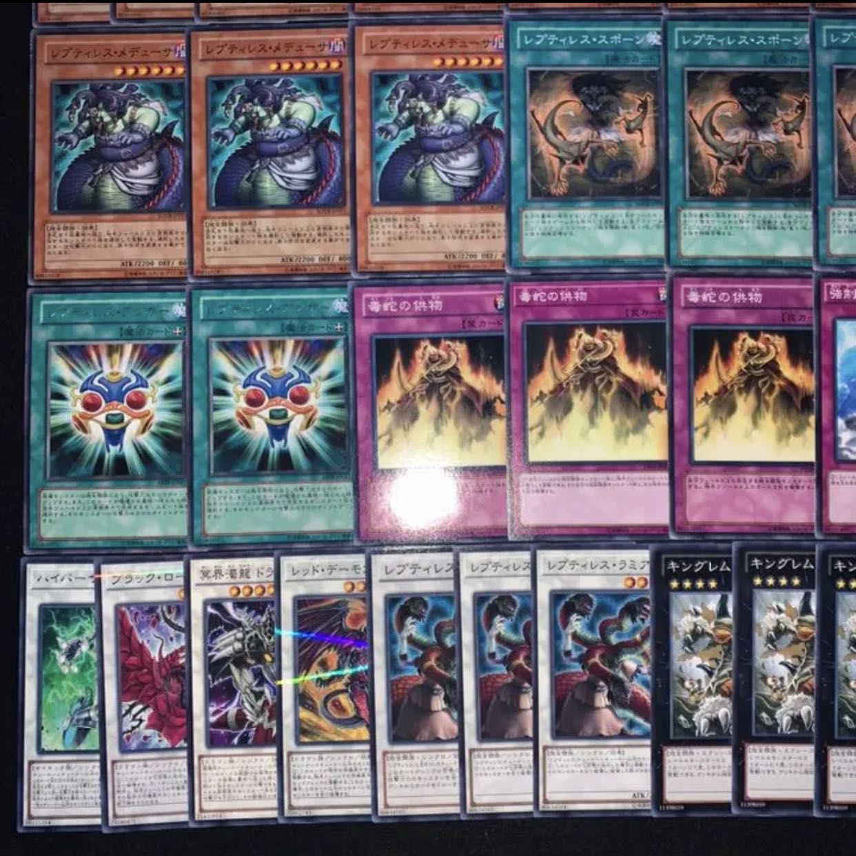 ガチ構築！！レプティレスデッキ40枚+EX15枚B