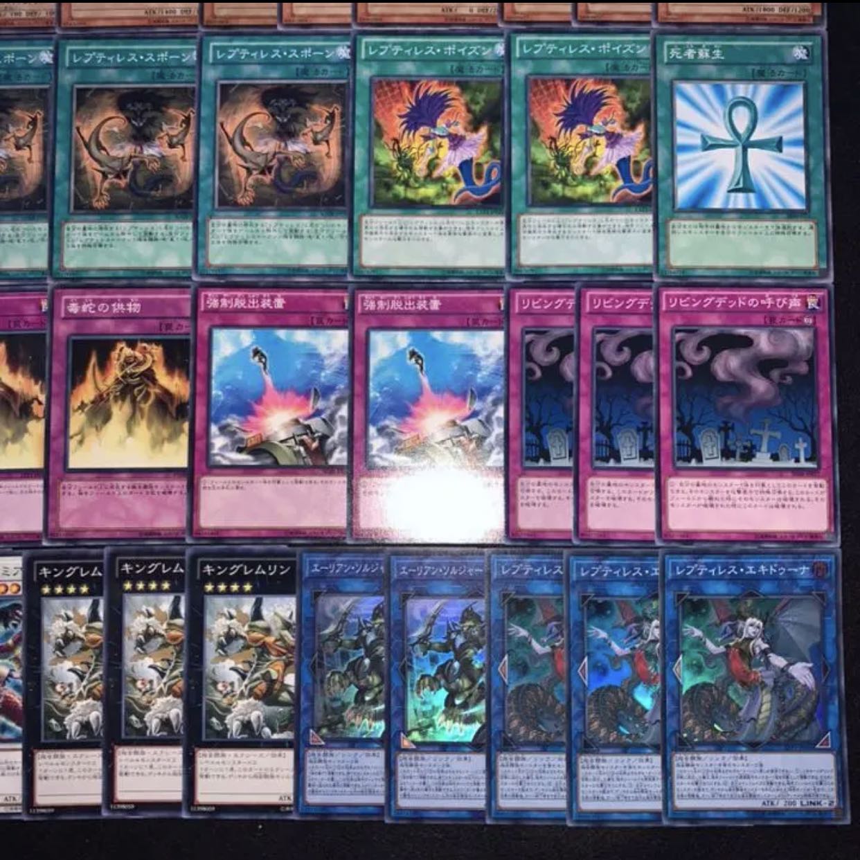 ガチ構築！！レプティレスデッキ40枚+EX15枚B