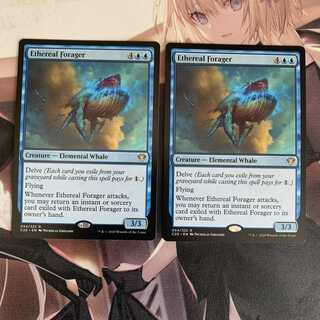 天上の餌あさり 2枚