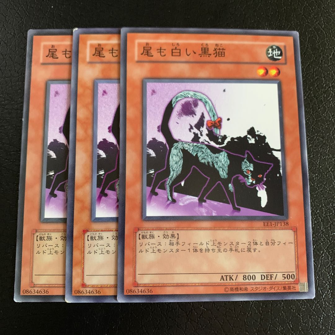 Dark Cat with White Tail Normal