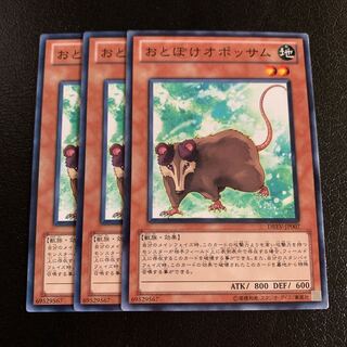 おとぼけオポッサム ノーマル