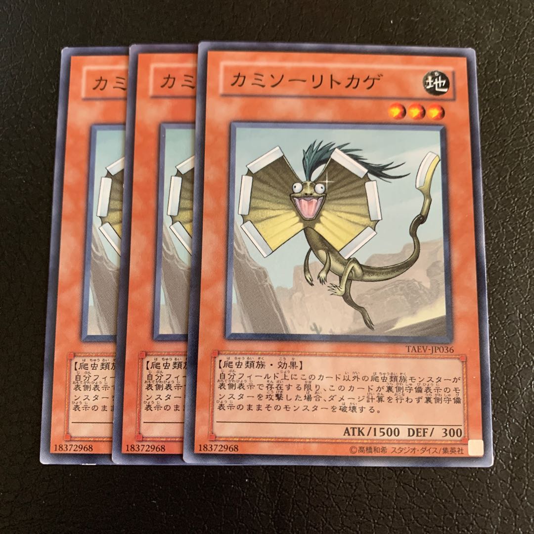 カミソーリトカゲ ノーマル