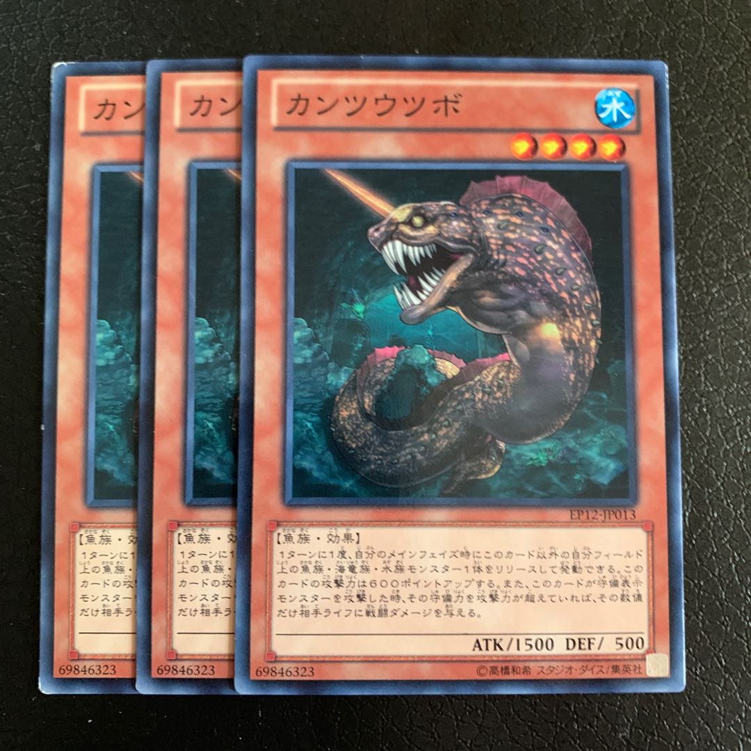 カンツウツボ ノーマル