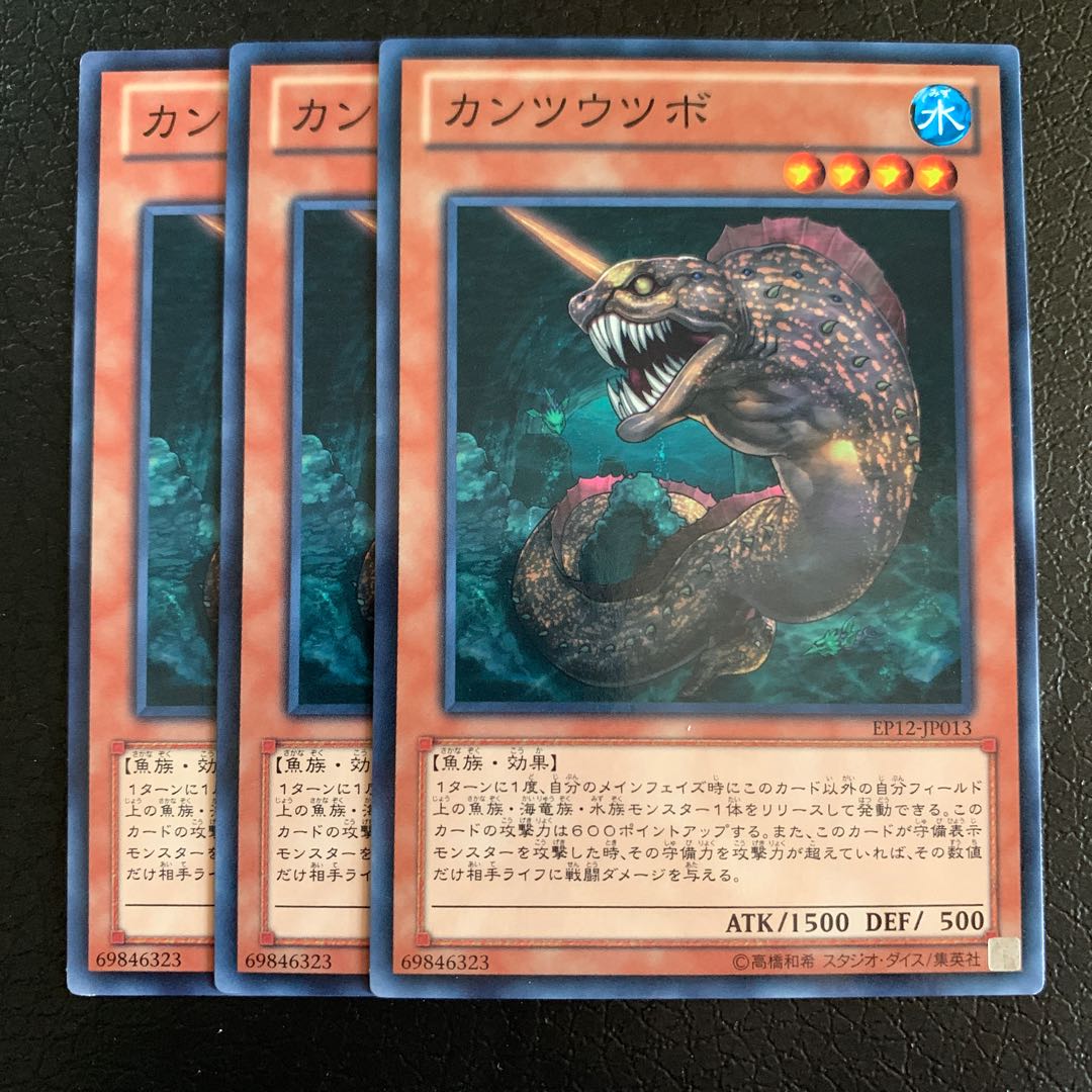 カンツウツボ ノーマル