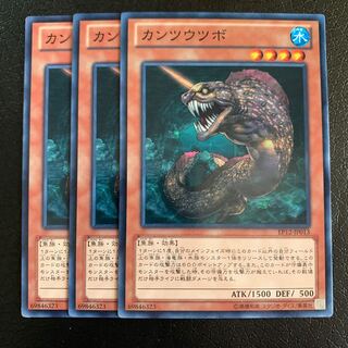 カンツウツボ ノーマル