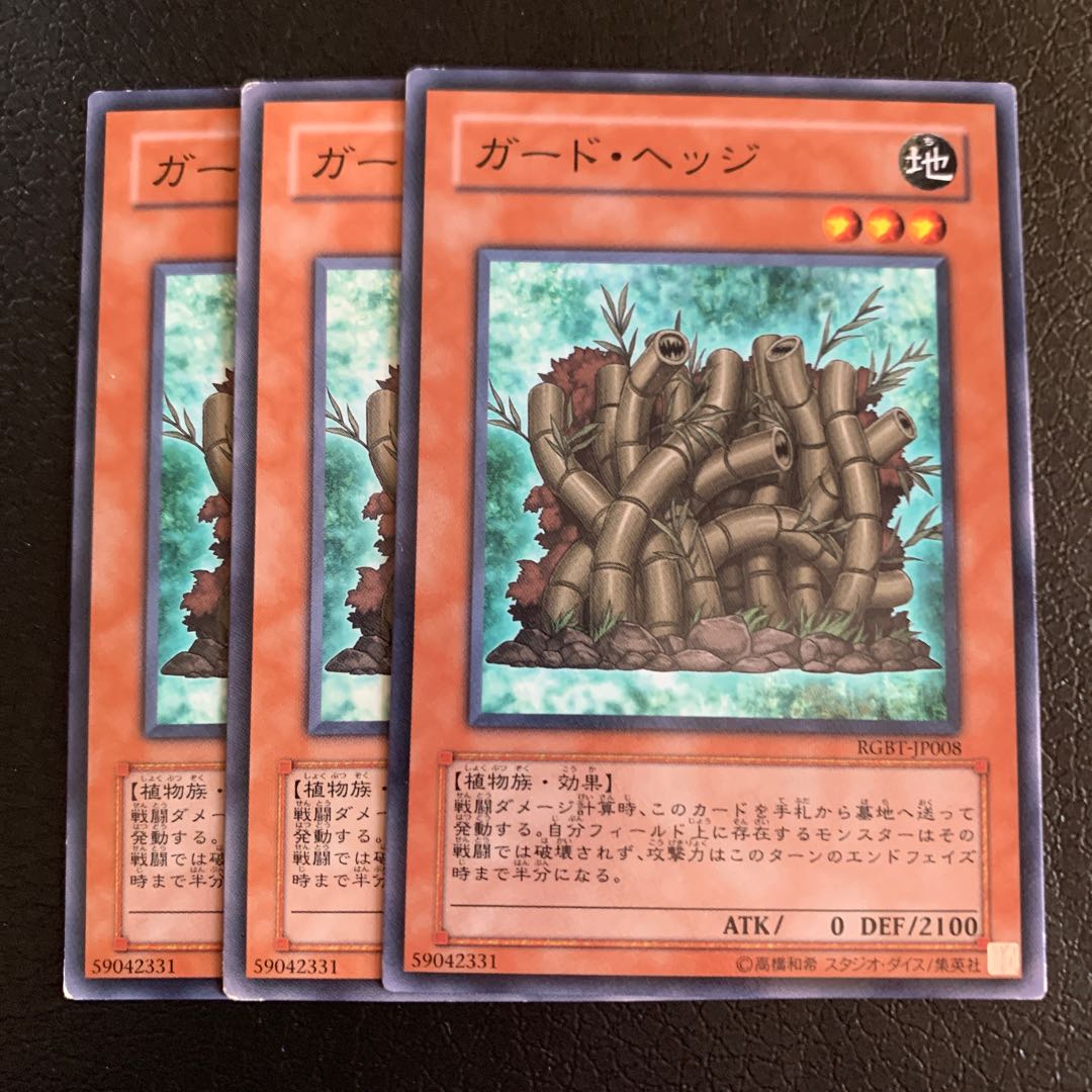 ガード・ヘッジ ノーマル