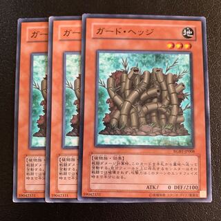 ガード・ヘッジ ノーマル