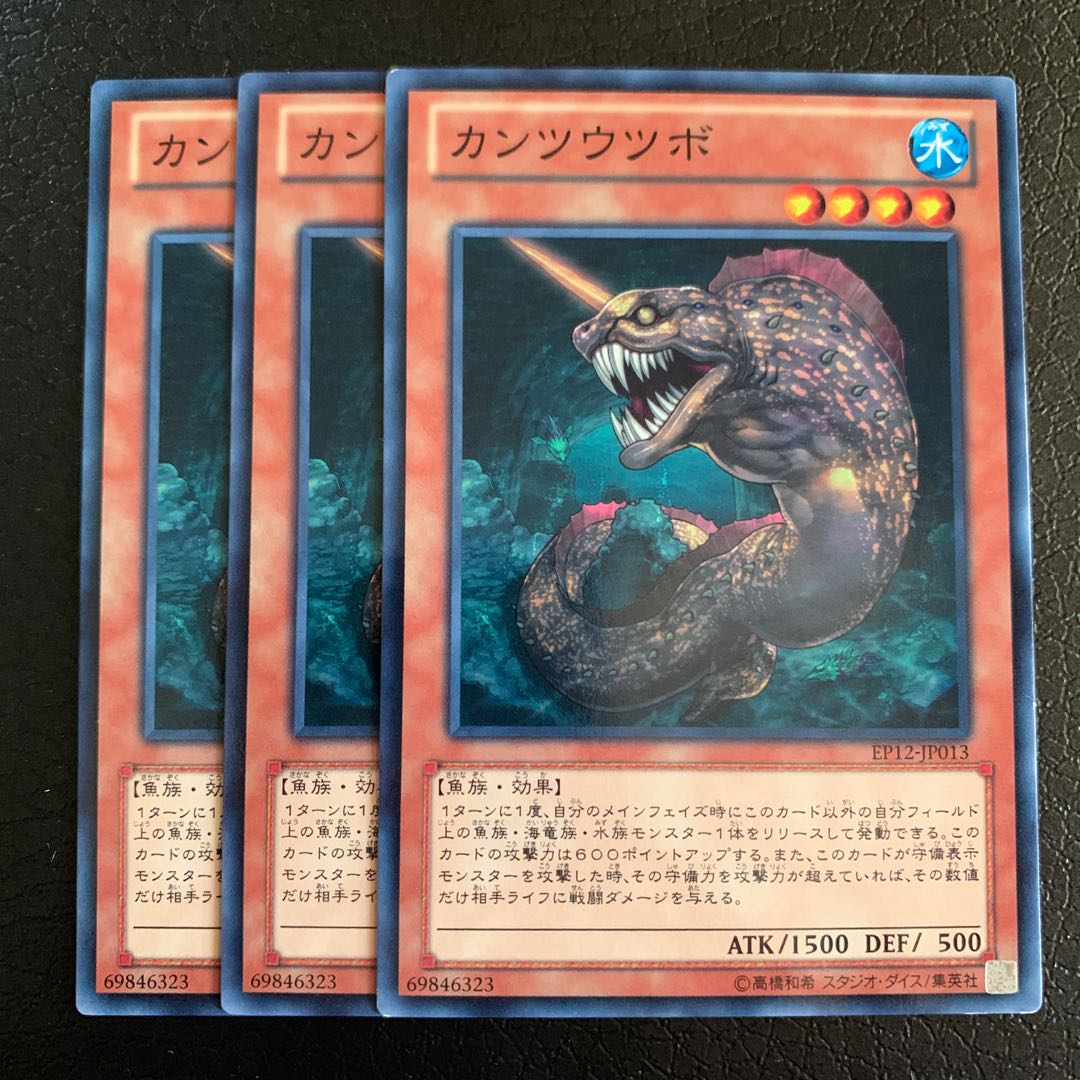 カンツウツボ ノーマル