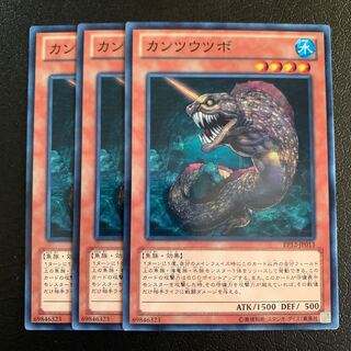 カンツウツボ ノーマル