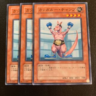 カンガルー・チャンプ ノーマル