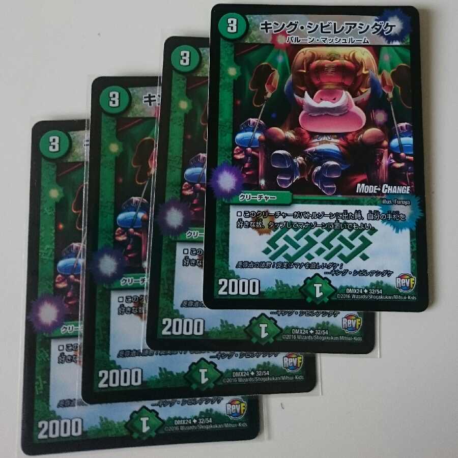 キング・シビレアシダケ