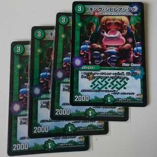 キング・シビレアシダケ