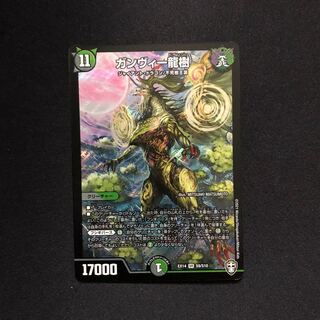 ガンヴィー龍樹