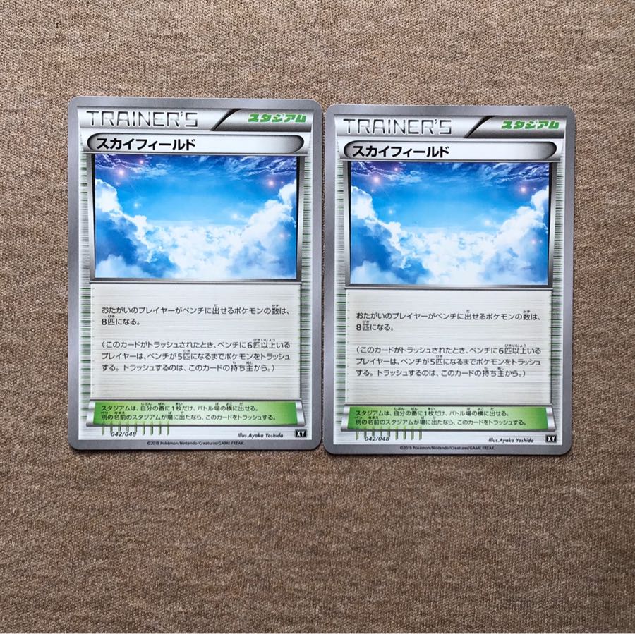 サブカルチャー様専用スカイフィールド2