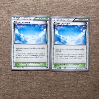 サブカルチャー様専用スカイフィールド2