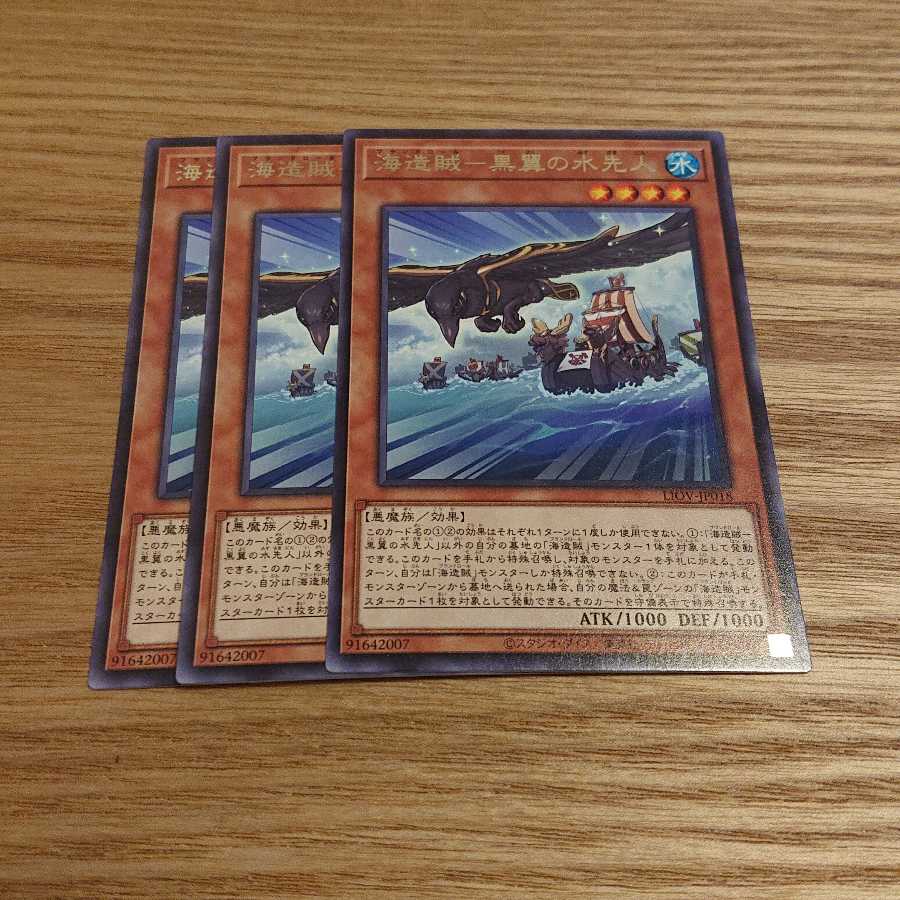 海造賊-黒翼の水先人