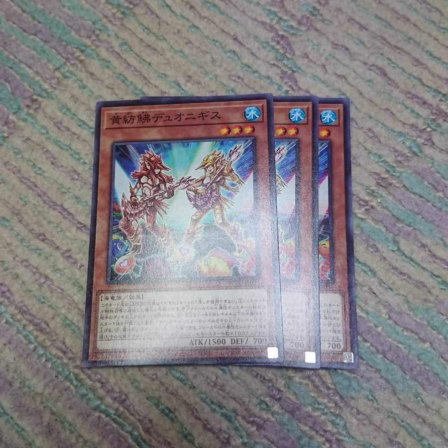 黄紡鮄デュオニギス3枚