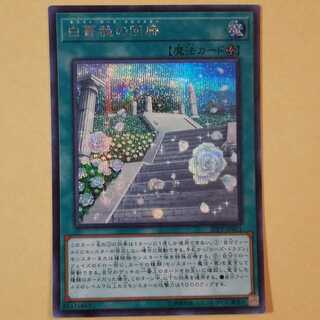 白薔薇の回廊 シークレットレア