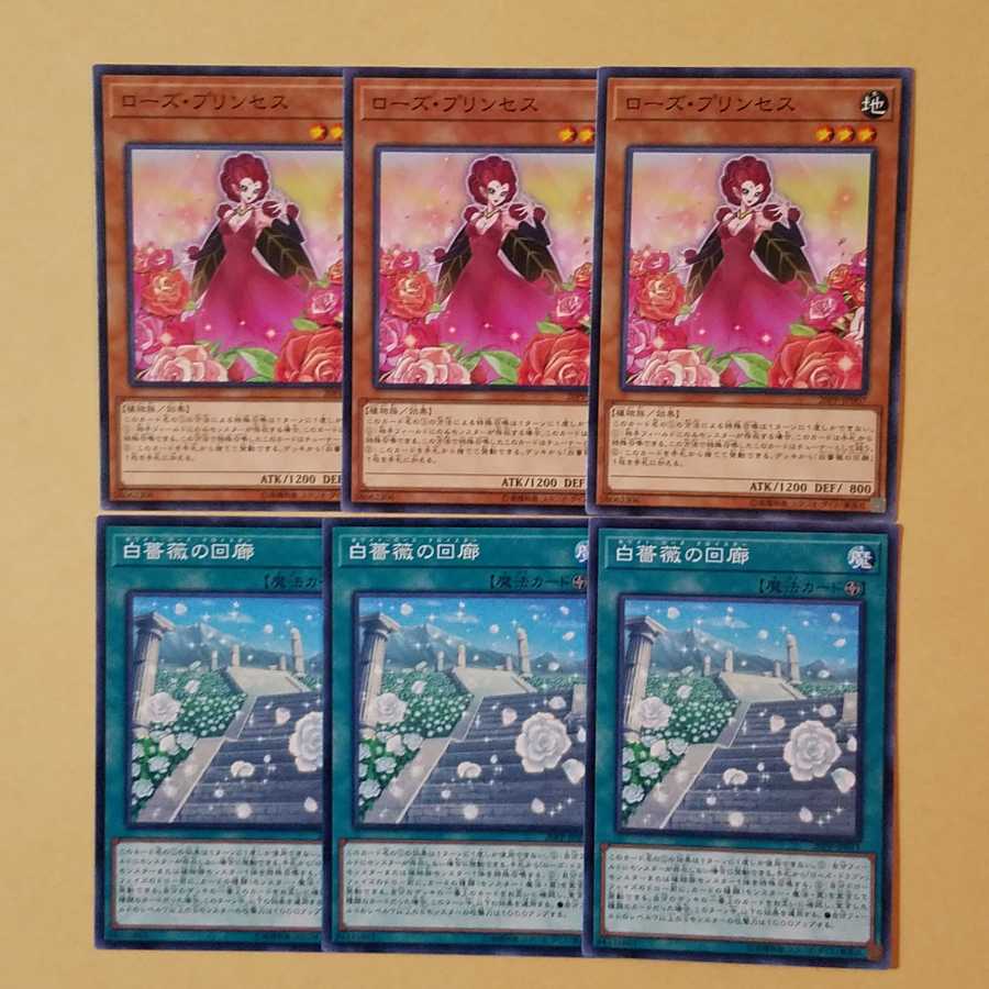 ローズ・プリンセス ノーマル