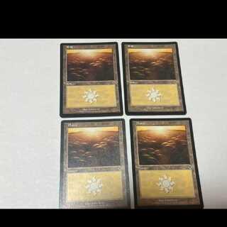 MTG Plains 4 sheets Model No. Ah-1242
