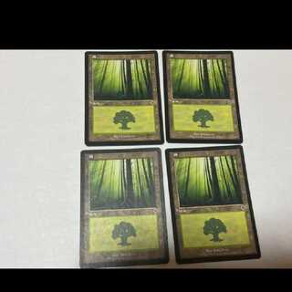 MTG Forest JP4 sheets Model No. Ah-1243