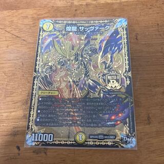 煌龍 サッヴァーク 2枚 セット