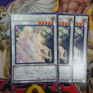 ガーデン・ローズ・フローラ レア