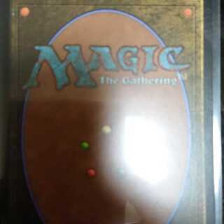 ずんだずんだ様専用 タルキール覇王譚 血染めのぬかるみ2枚セット