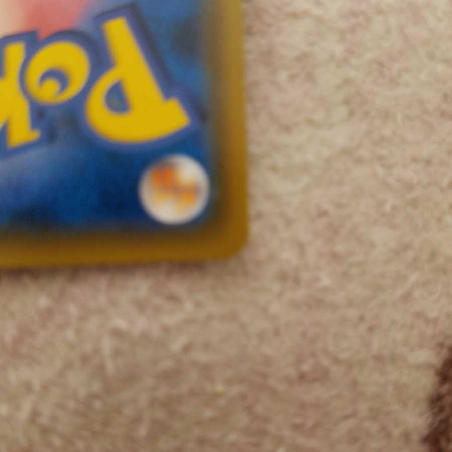 ポケモンカード　ピカチュウ&ゼクロムgx sr sa スペシャルアート