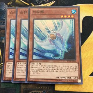 マドレース1759ホワイト・スティングレイ スーパーレア