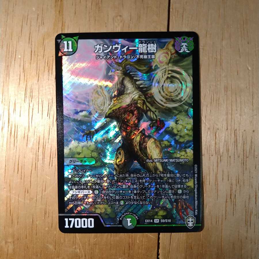 ガンヴィー龍樹